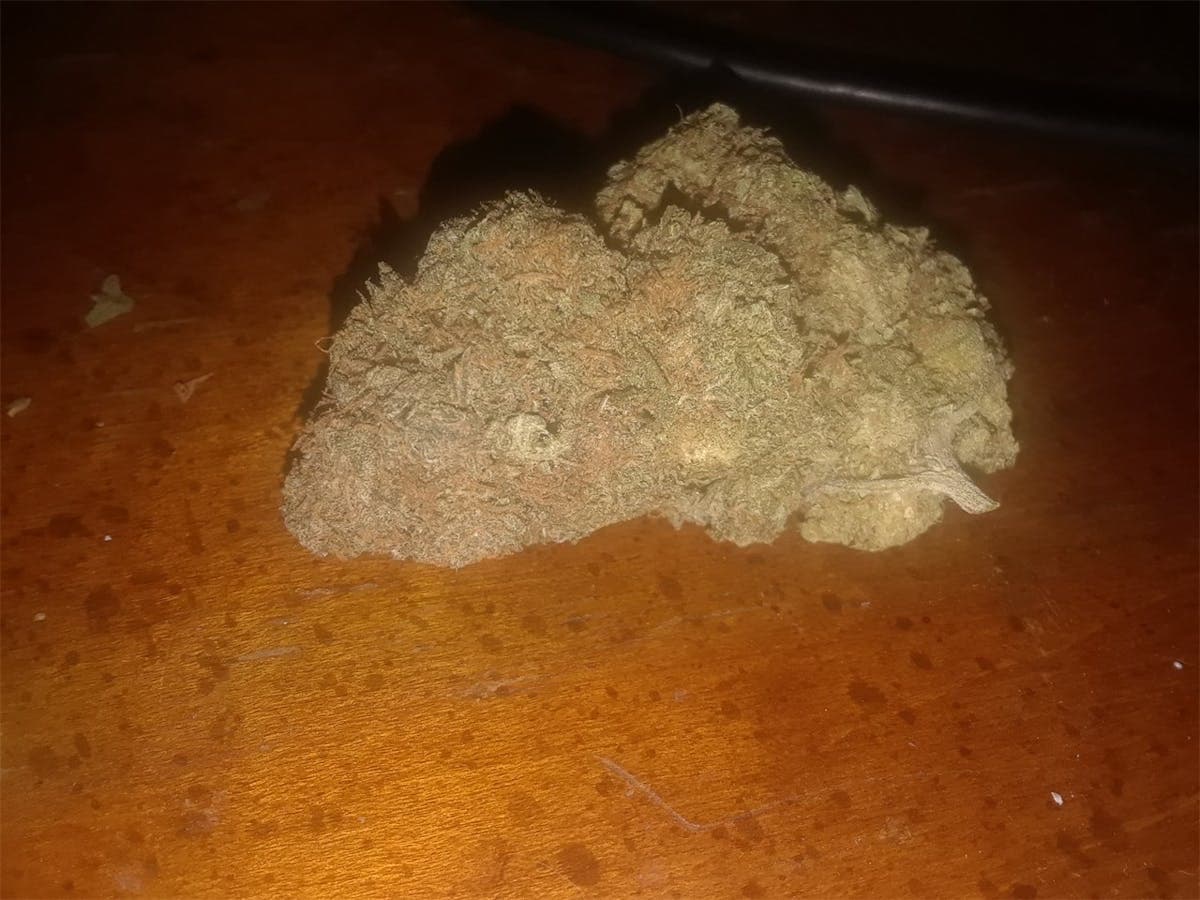 Alien Dawg