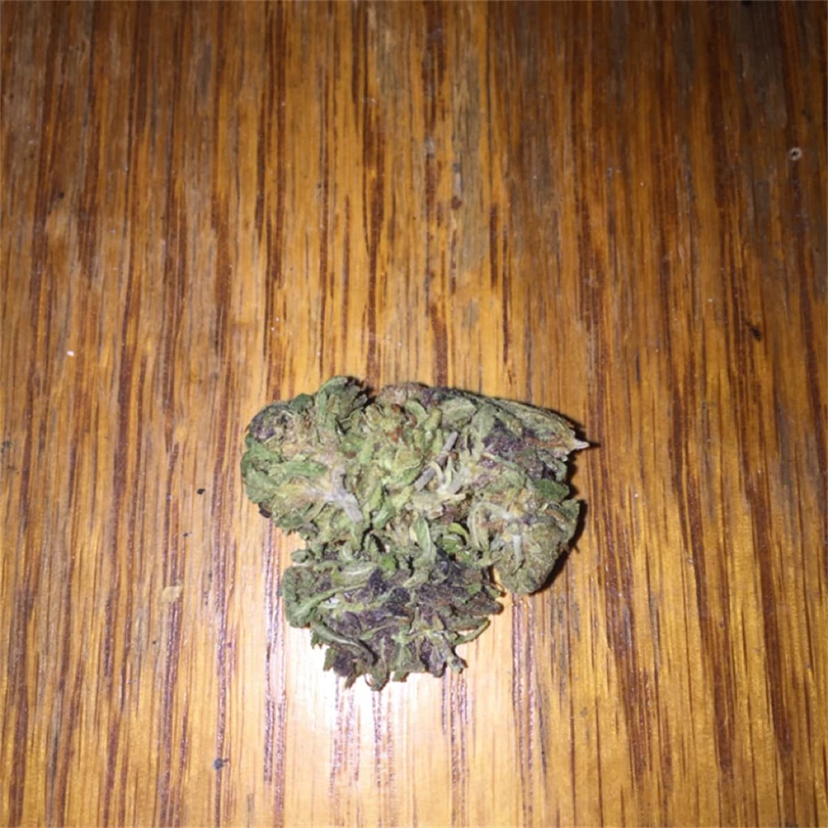 Alien Kush