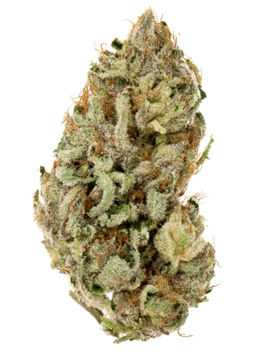 Alien Tahoe OG