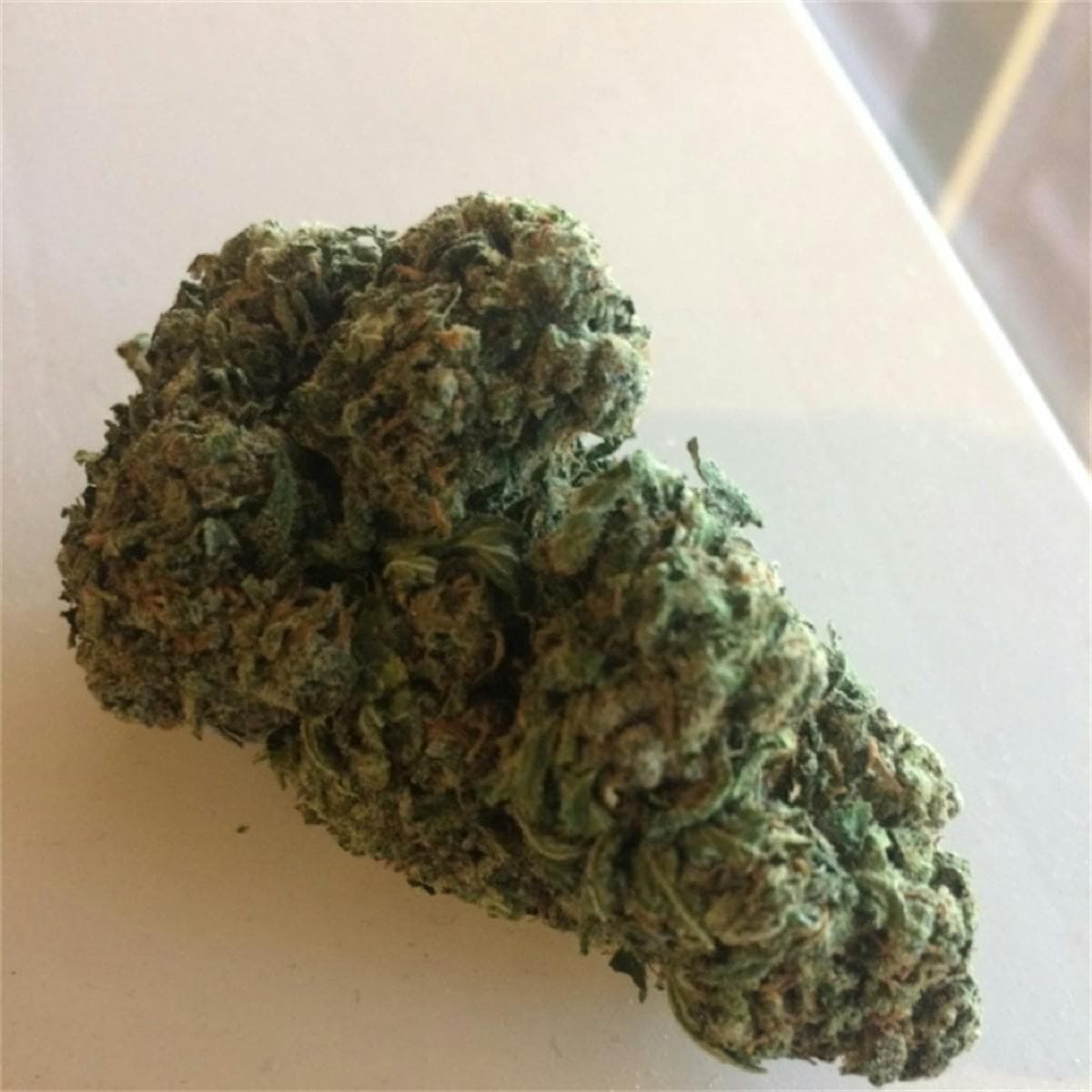 Big Bud