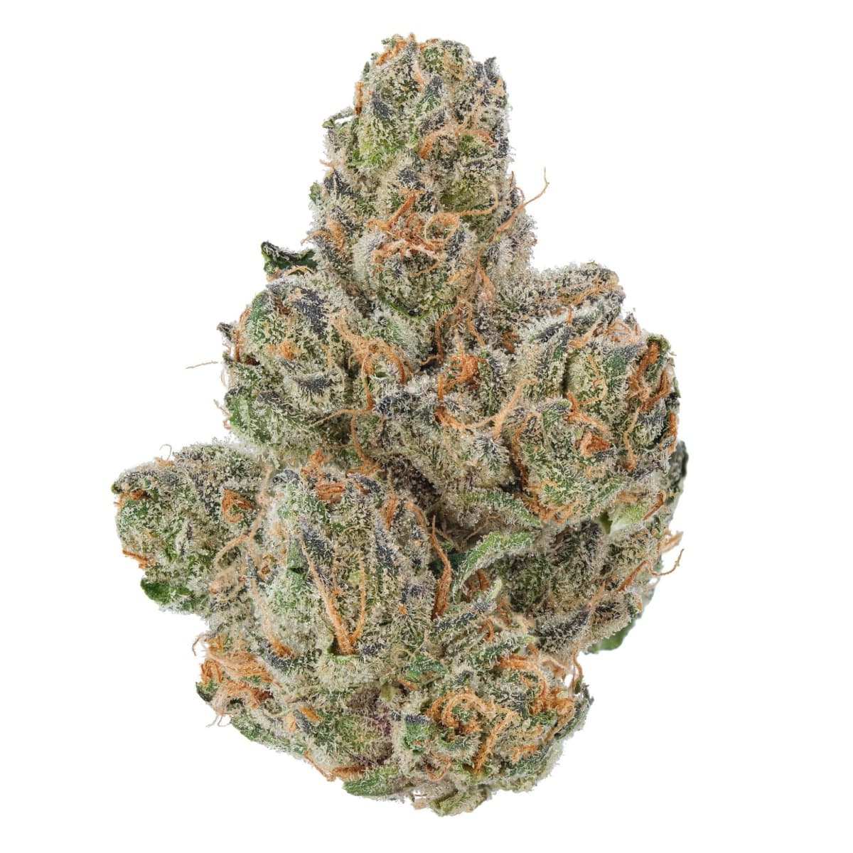 Blackberry Kush