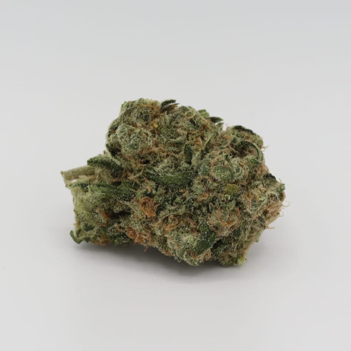 Blue Haze