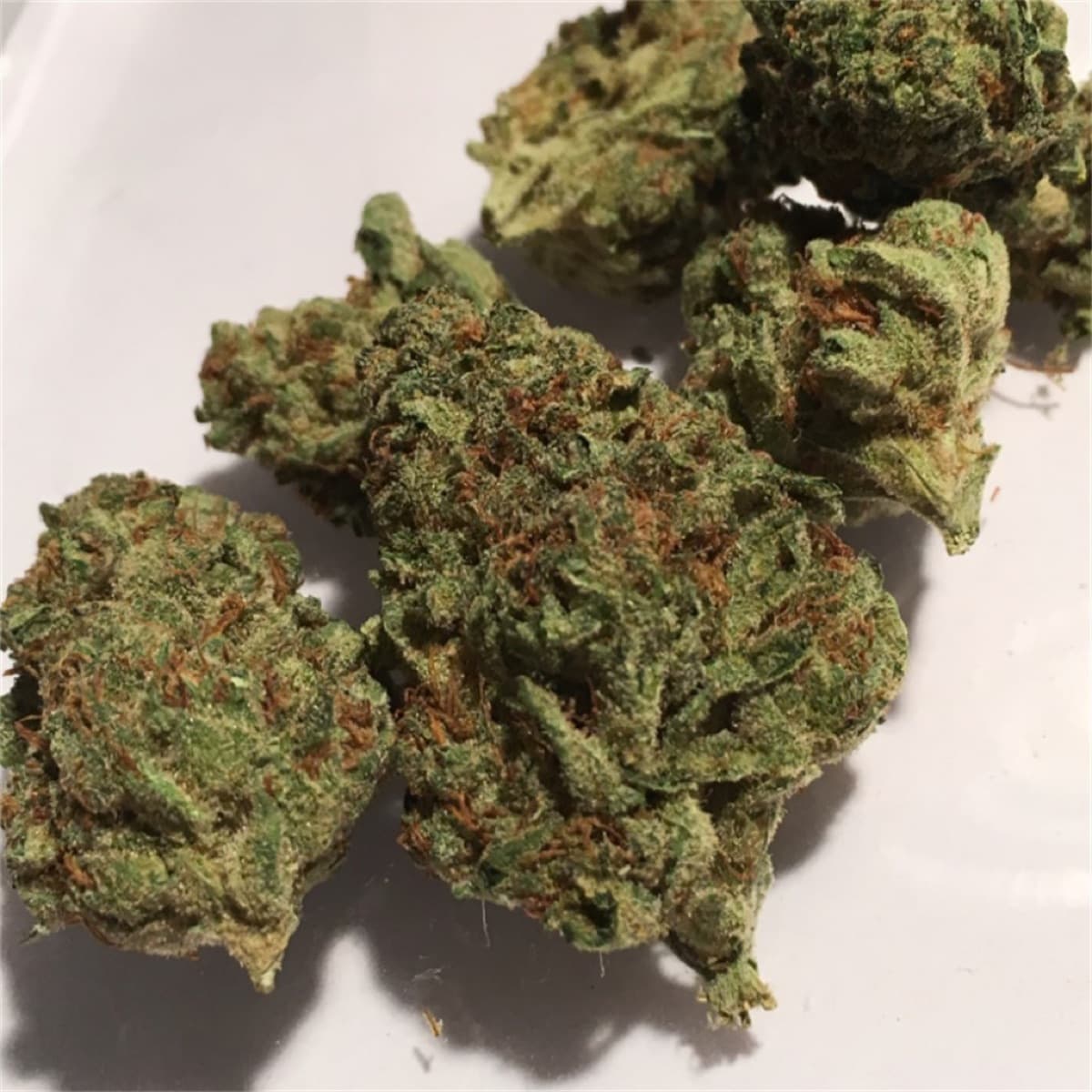 Blue Moonshine