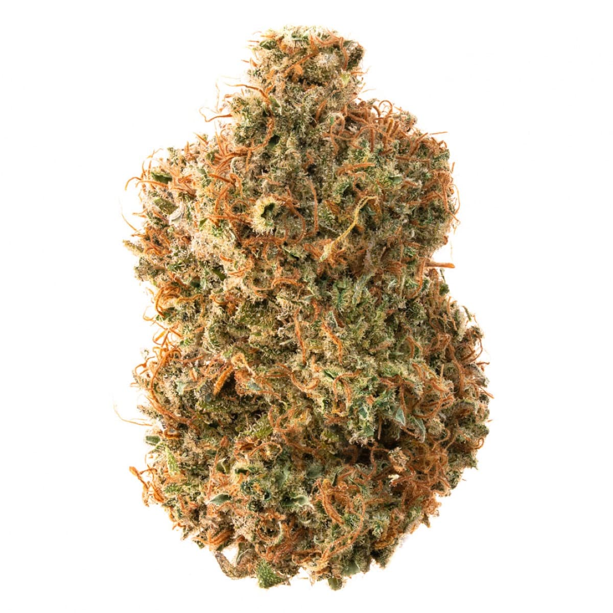Critical Cure