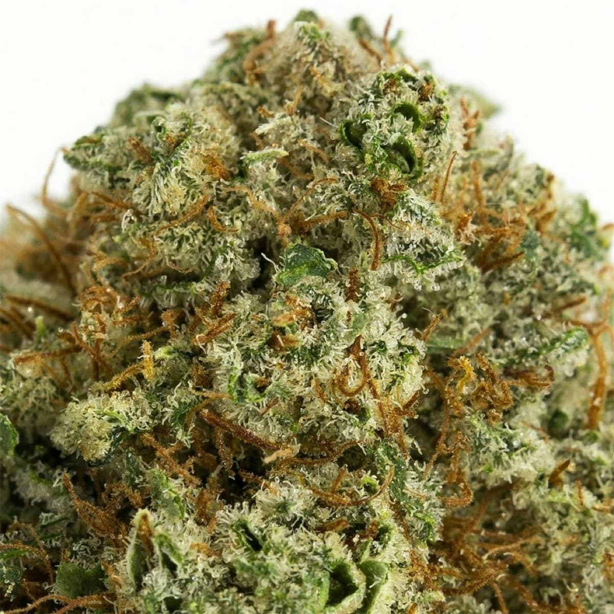 Fire OG