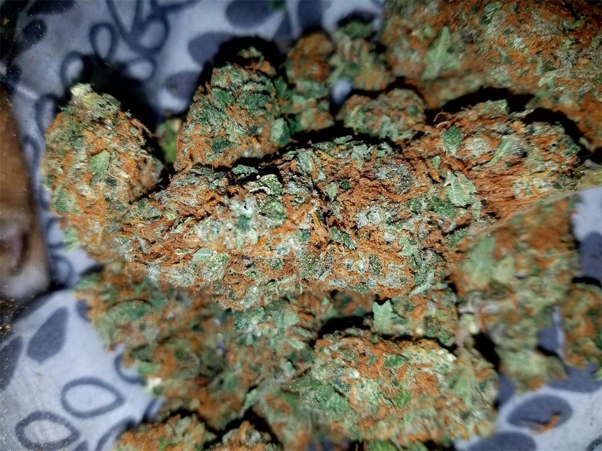 G13 Haze