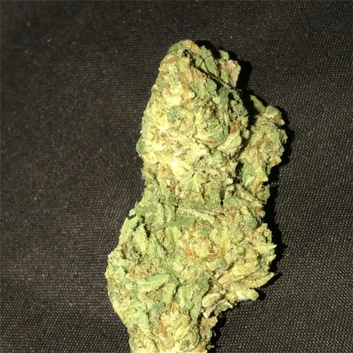 G13