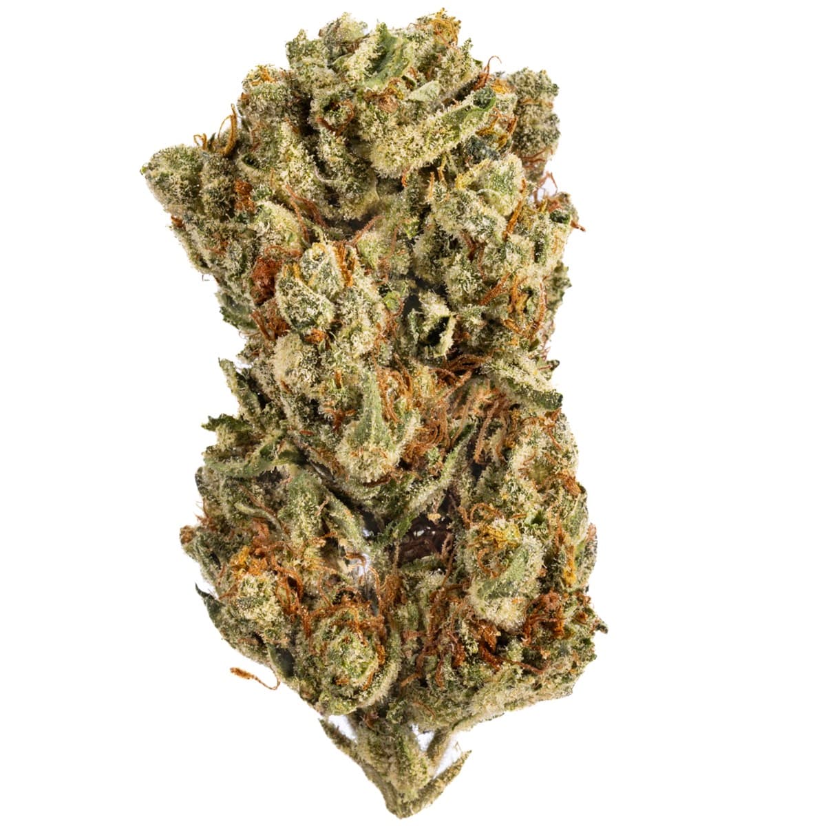 Gelato #25