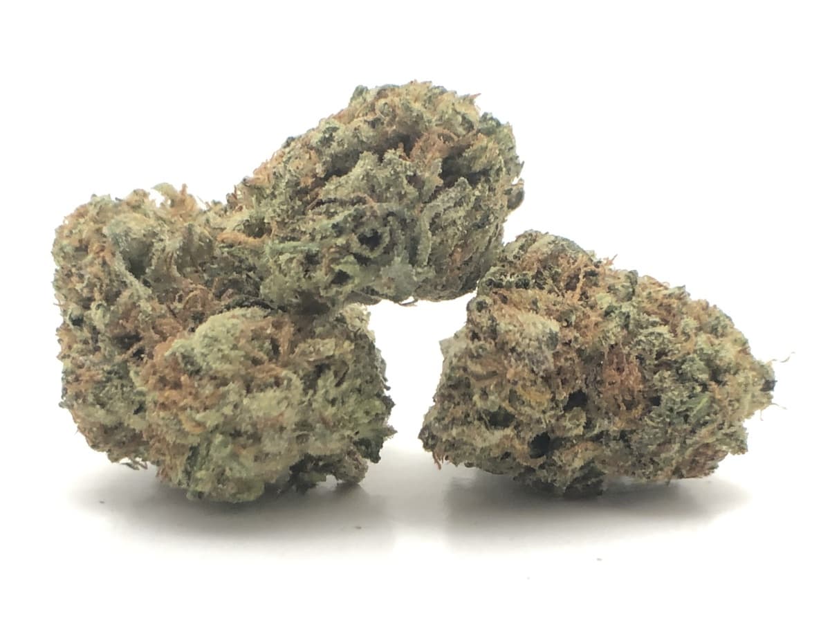Gelato #33