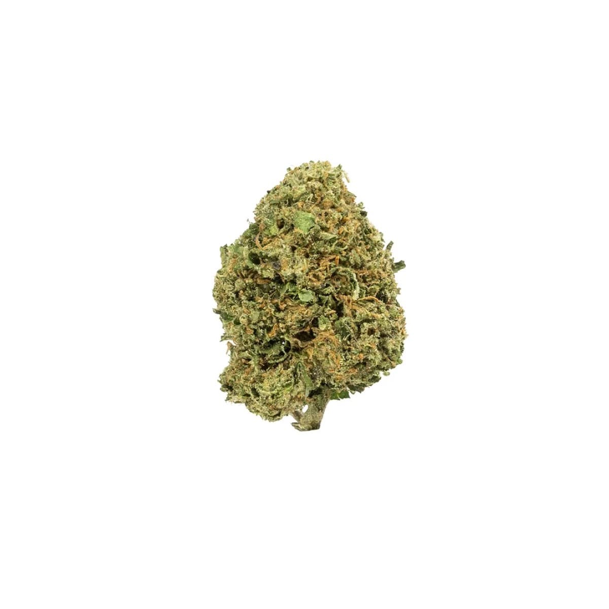 Gelato #45