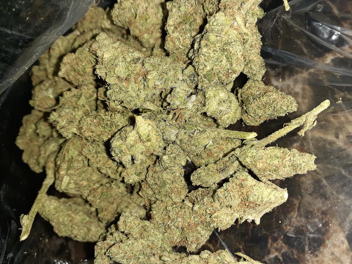 GMO Cookies