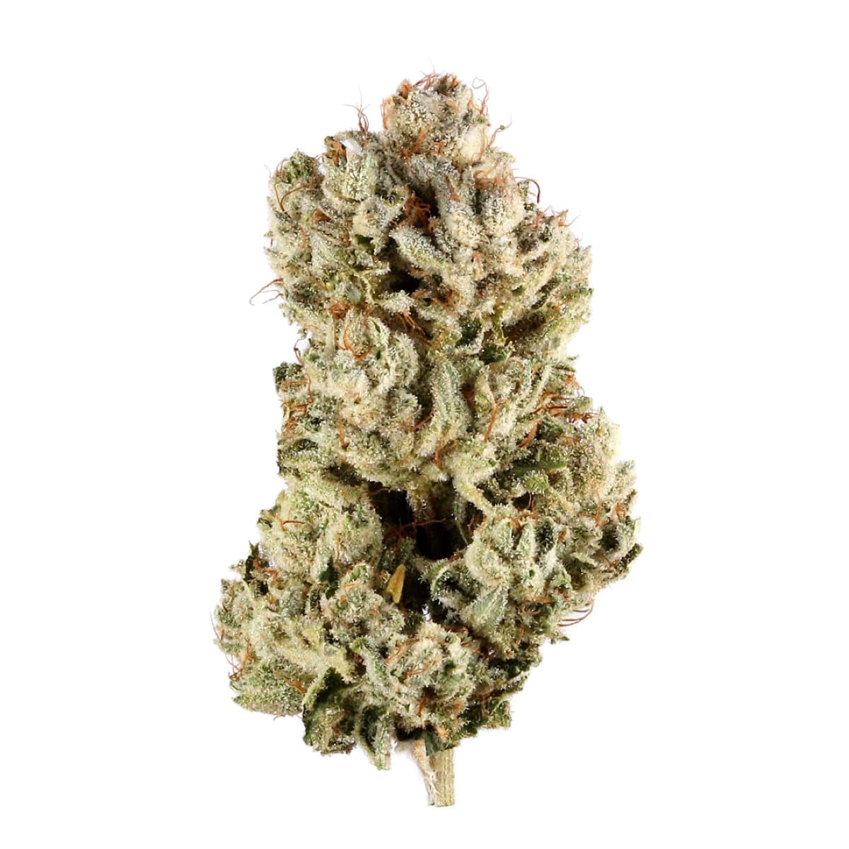 Gorilla Glue #4