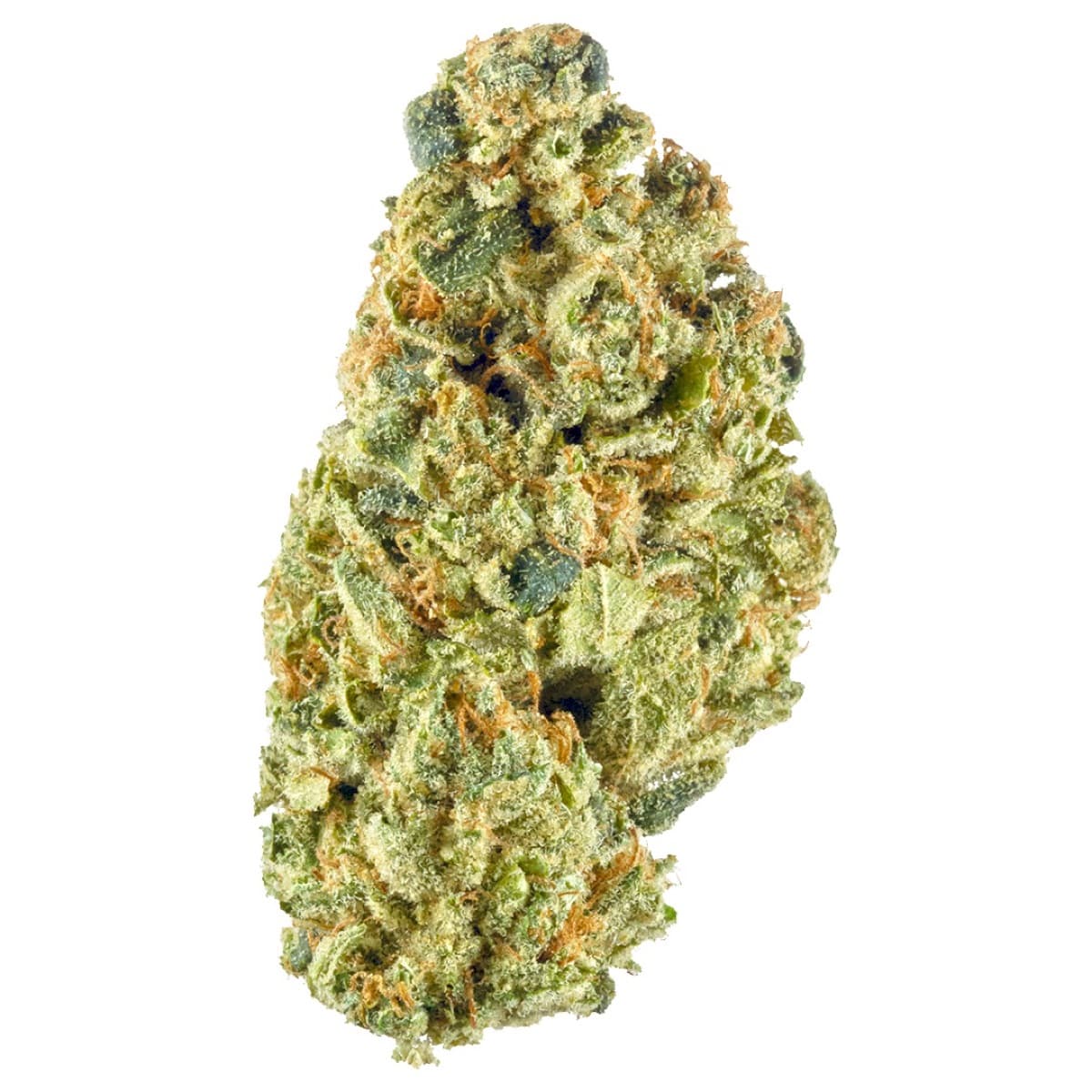 Headband
