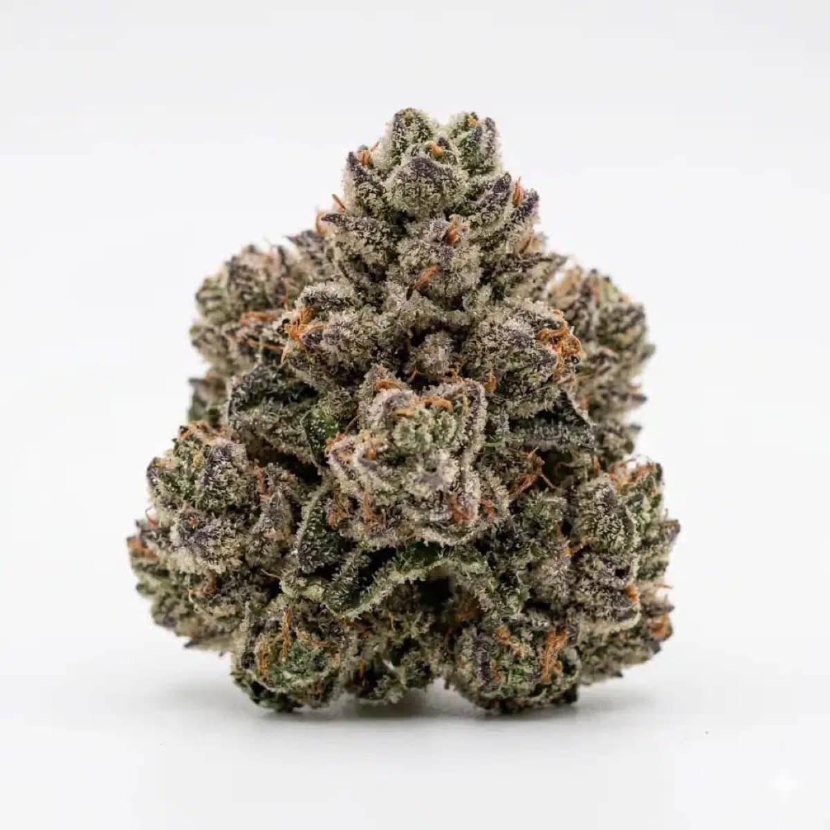 Hindu Kush