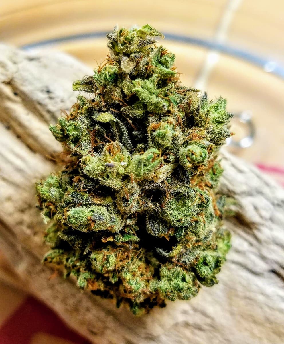 Larry OG