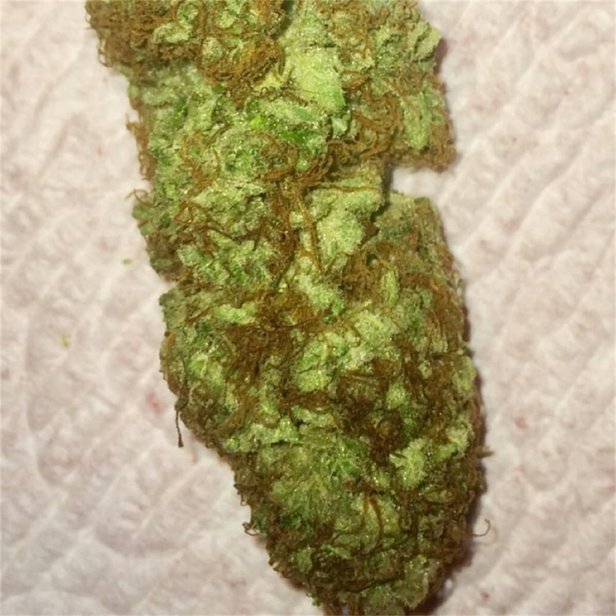 Maui Wowie