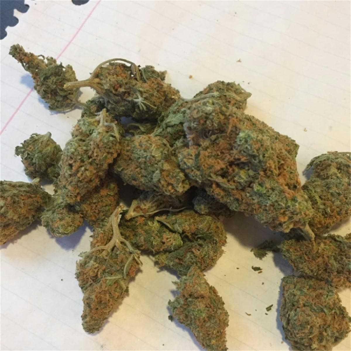 Orange Bud