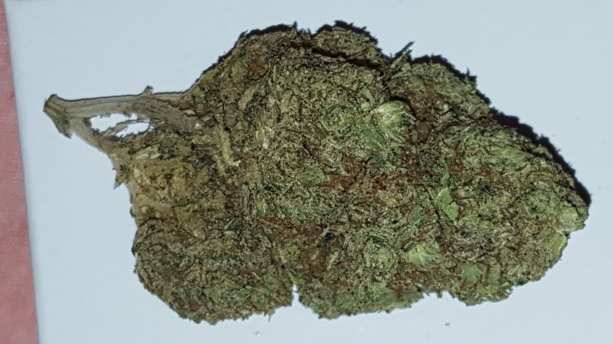 Presidential OG