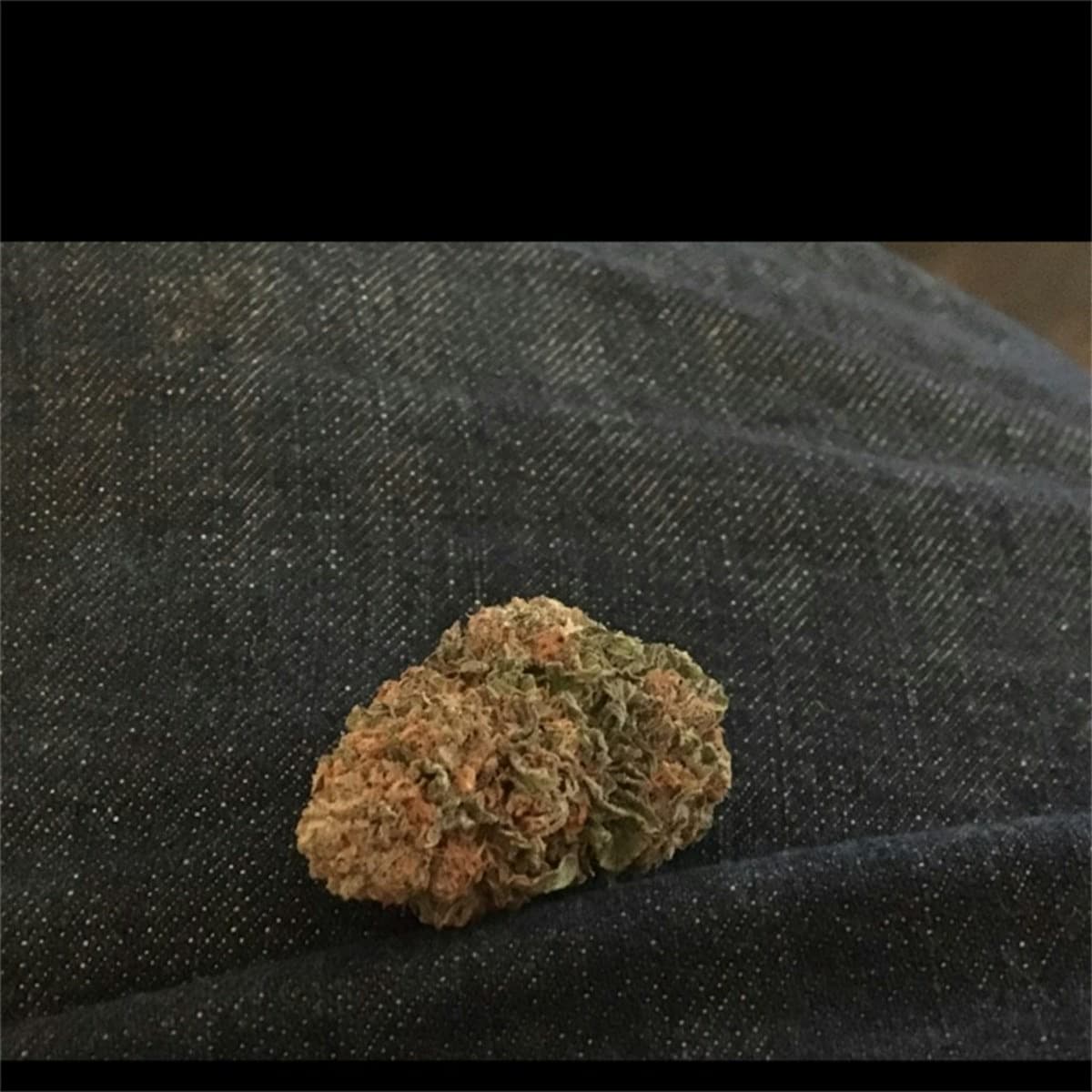 Pure Afghan