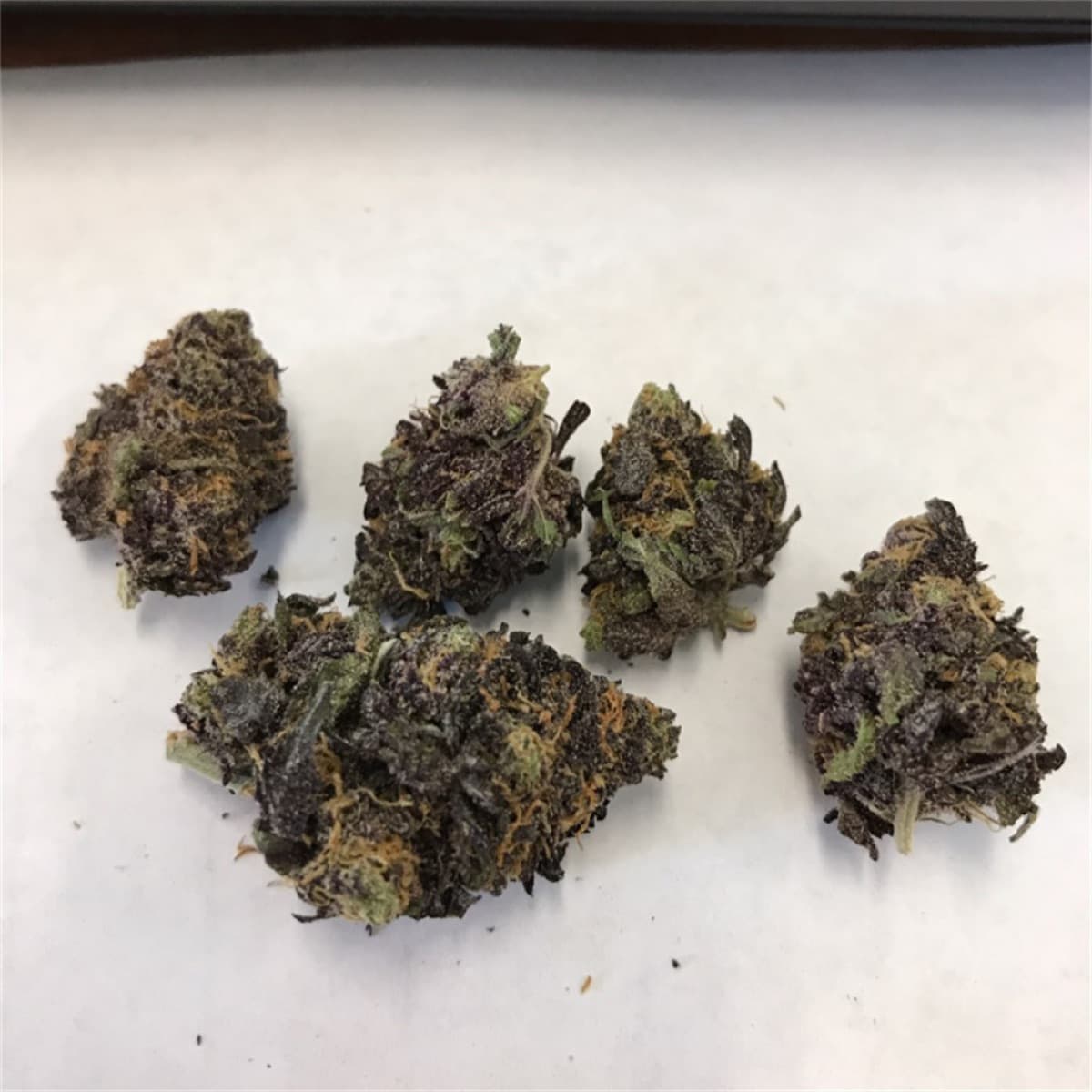 Purple Urkle