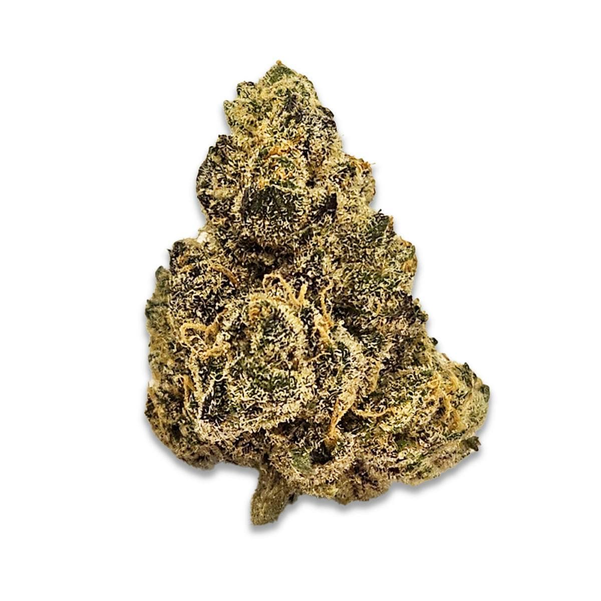 Sherbert Bx1