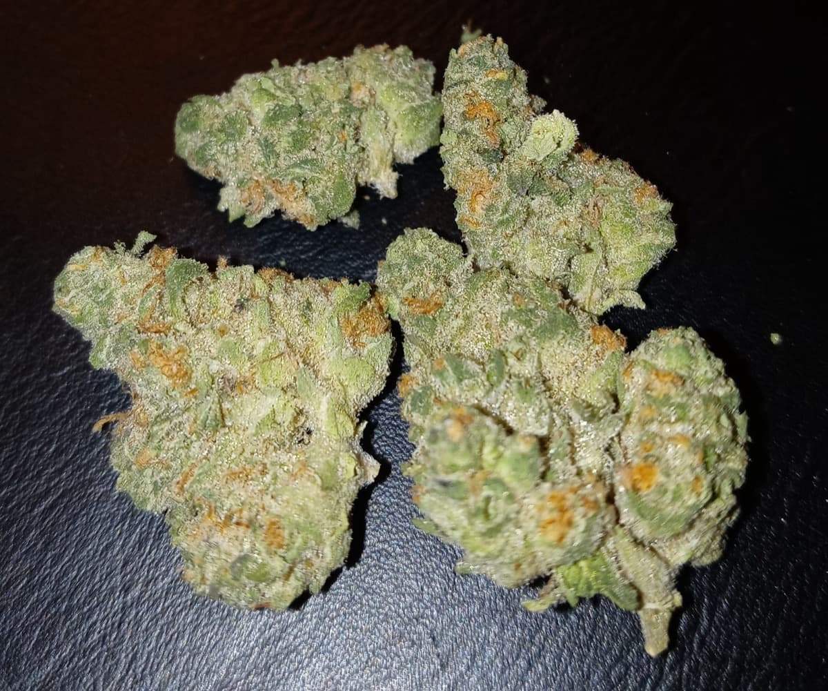 SinMint Cookies