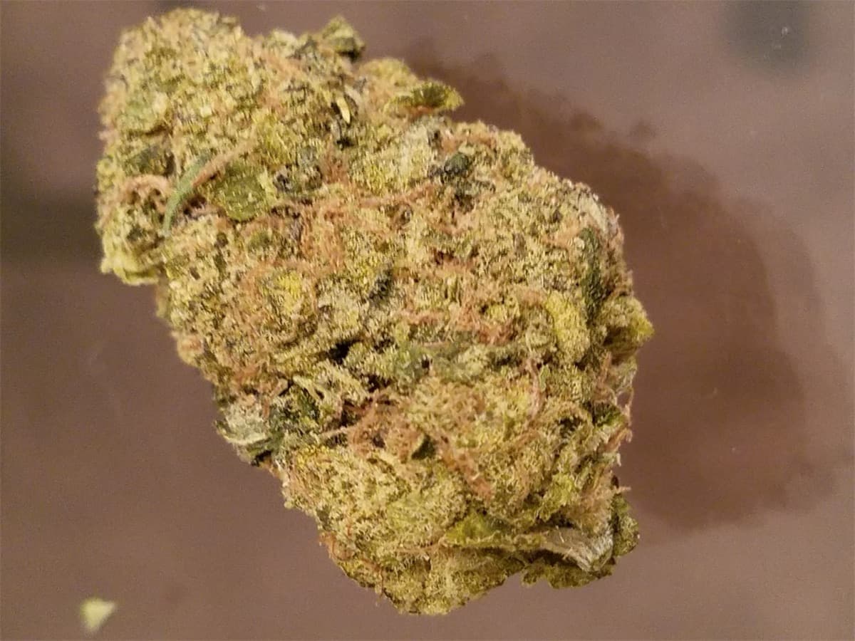 Skywalker OG