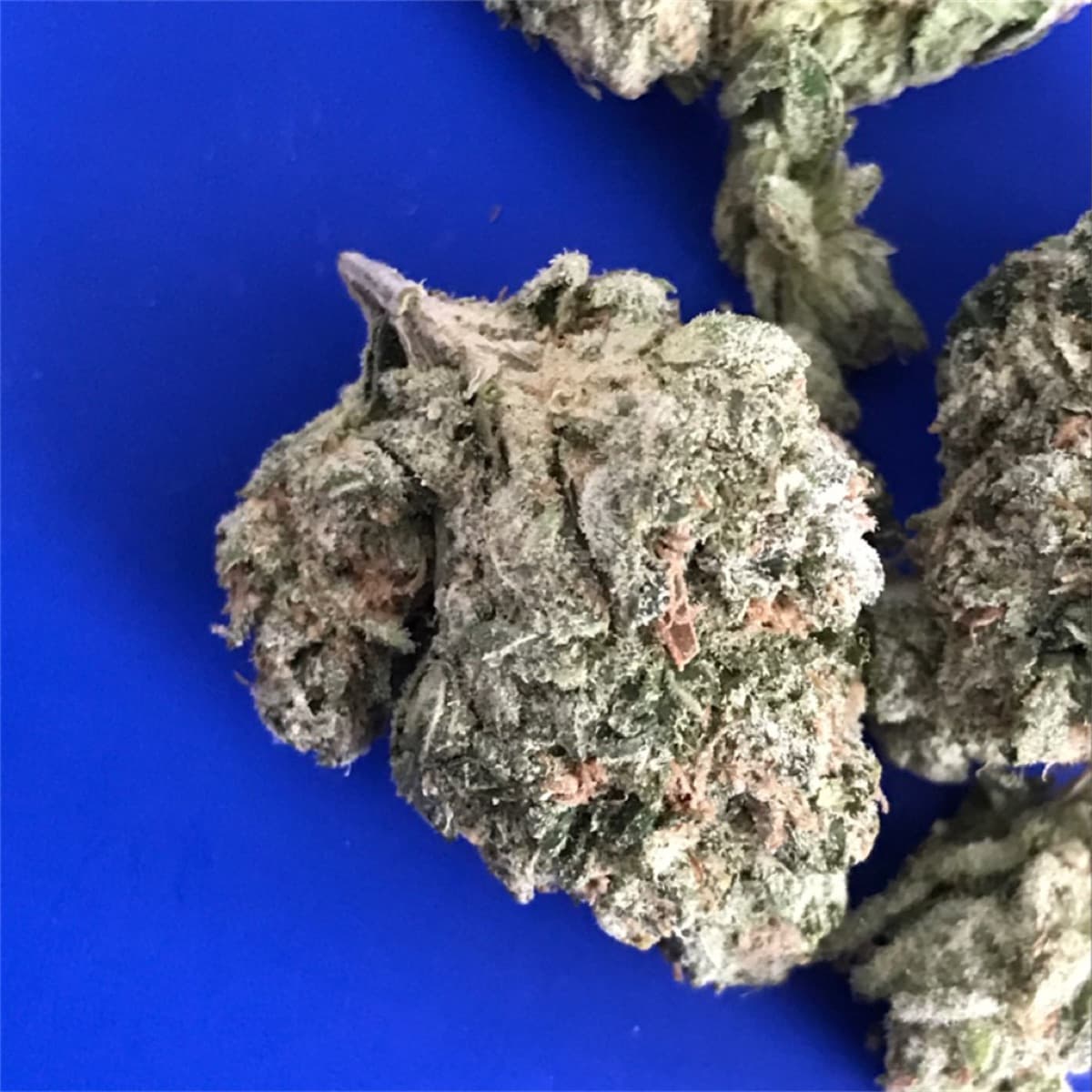 Skywalker