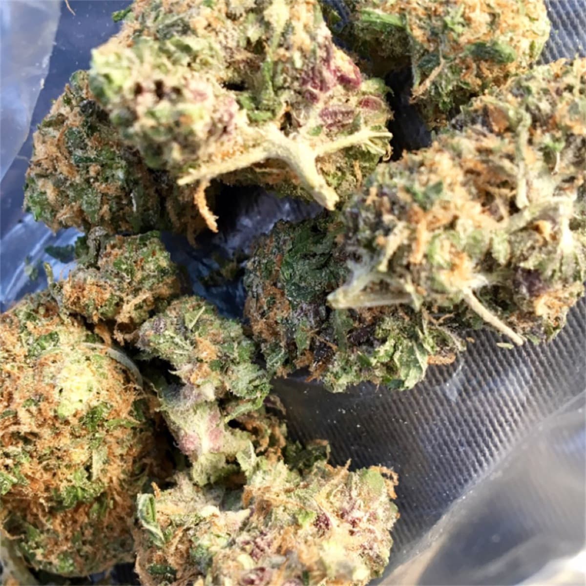 Sour Apple
