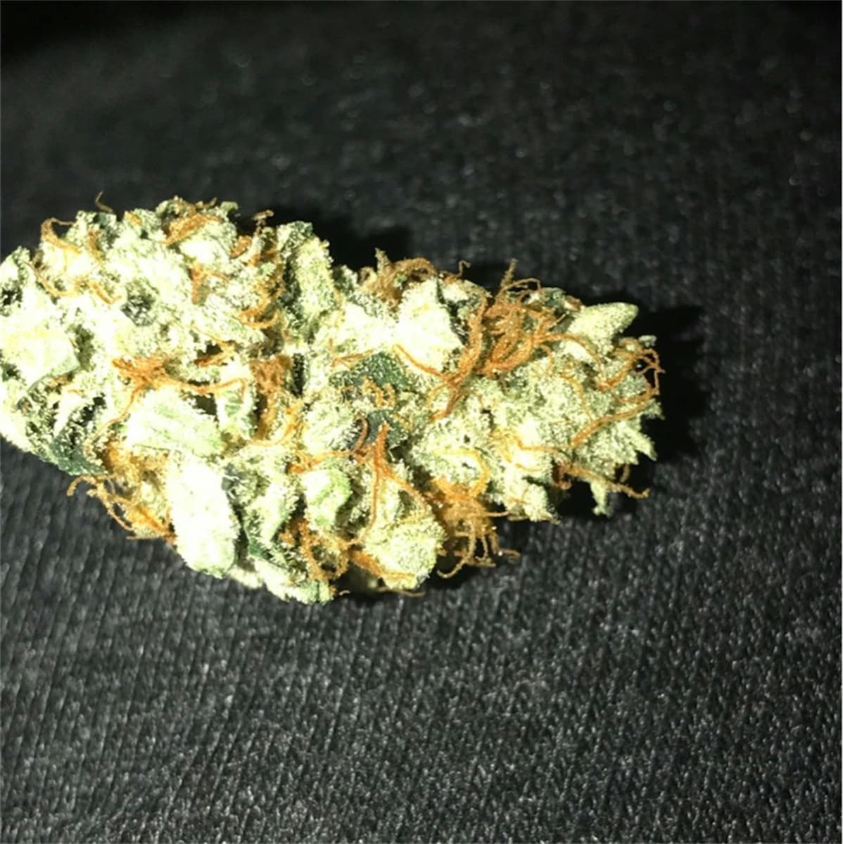 Sour Dubb