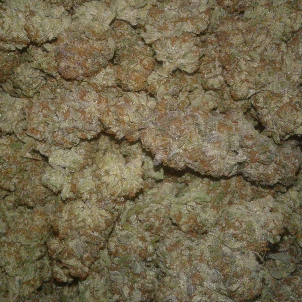 Thai