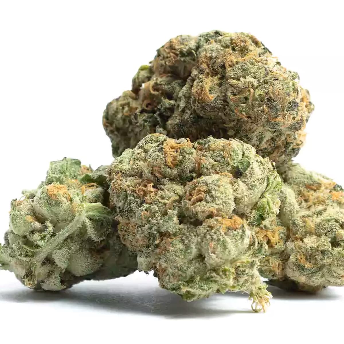 Thin Mint GSC