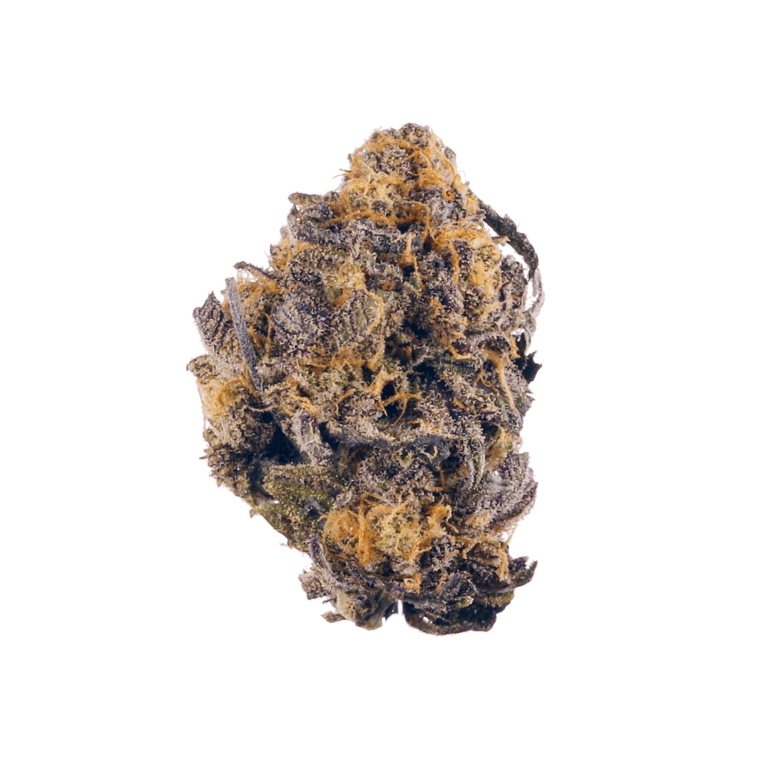 Black Domina