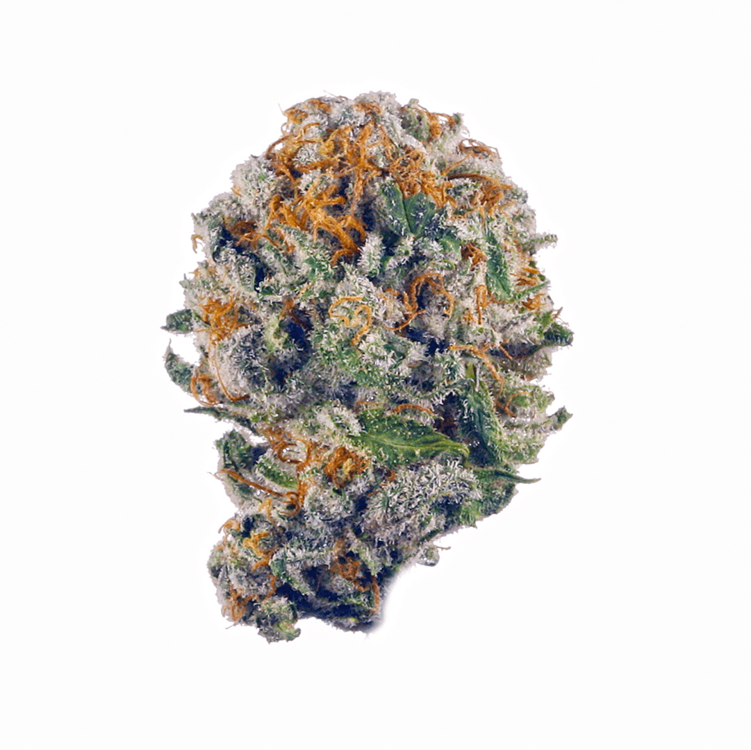 Purple Urkle