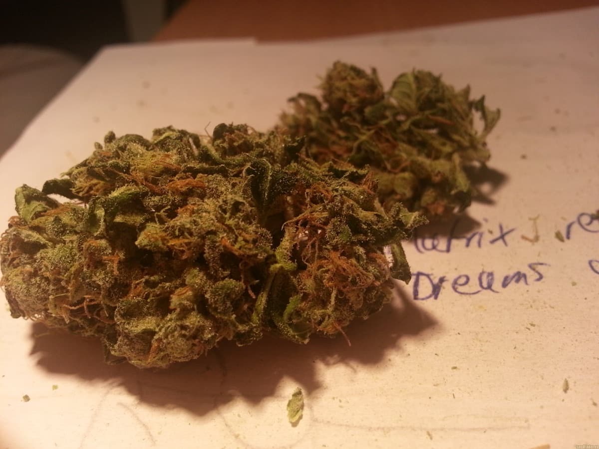 Afghan Kush Regular Seeds by White Label