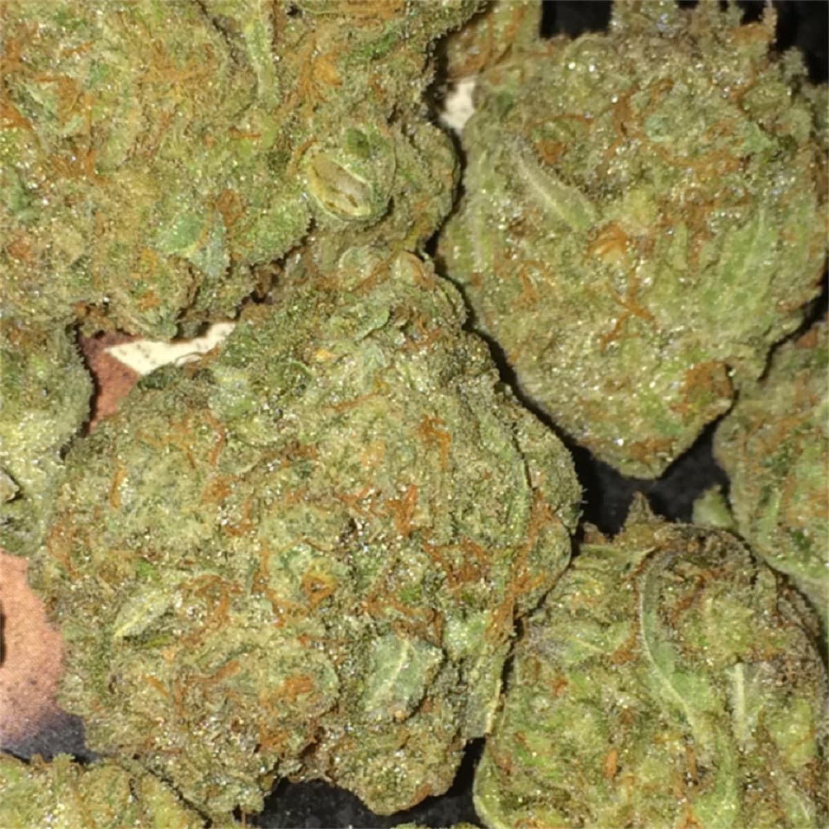 Ayahuasca Purple