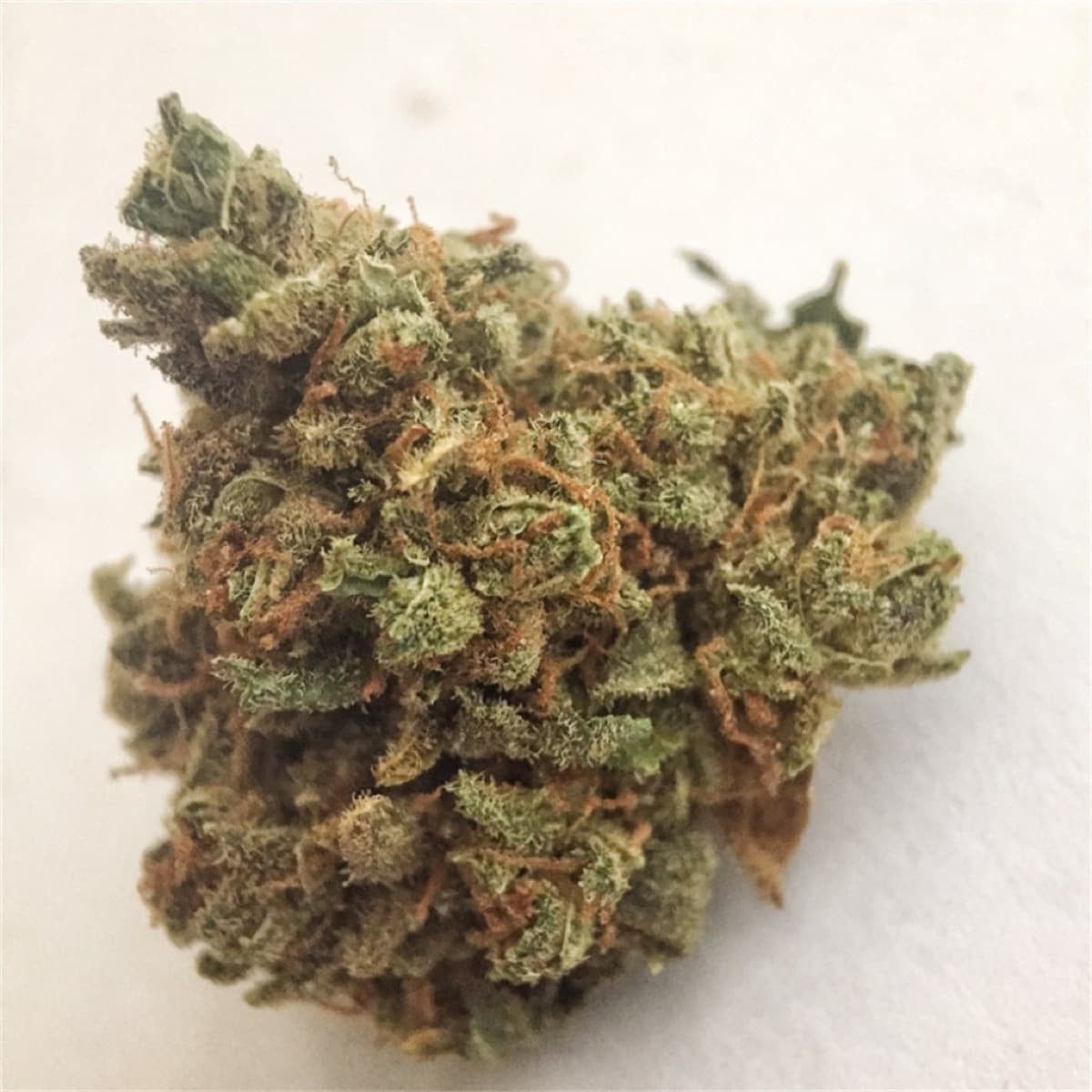 Big Buddha Cheese