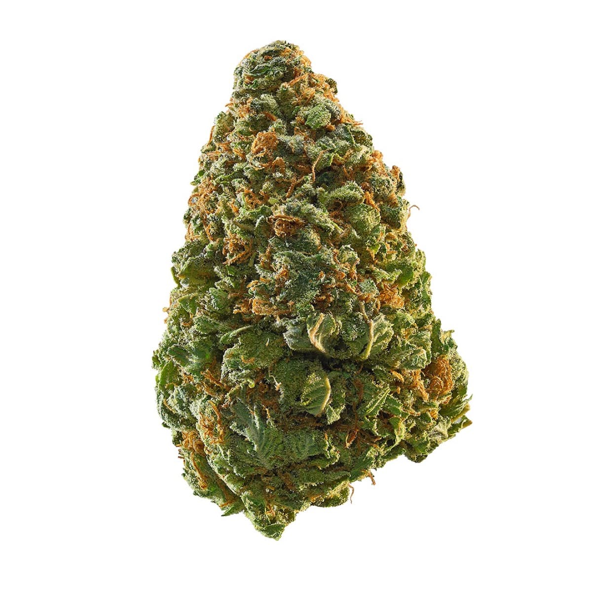 Black Cherry Gushers