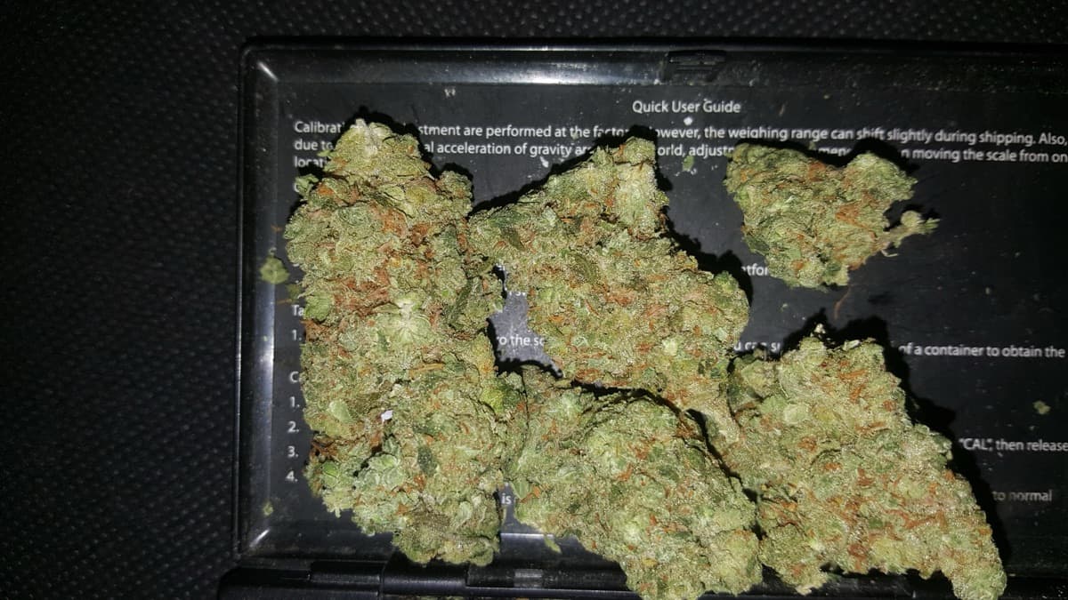 Blueberry Muffin
