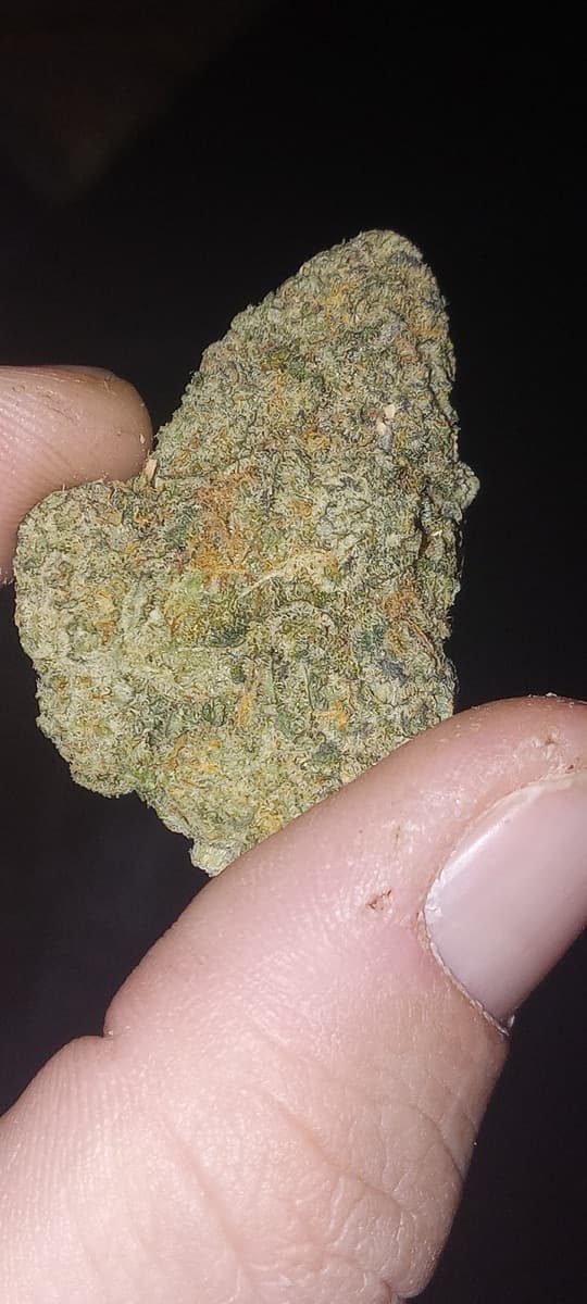 Californian Orange