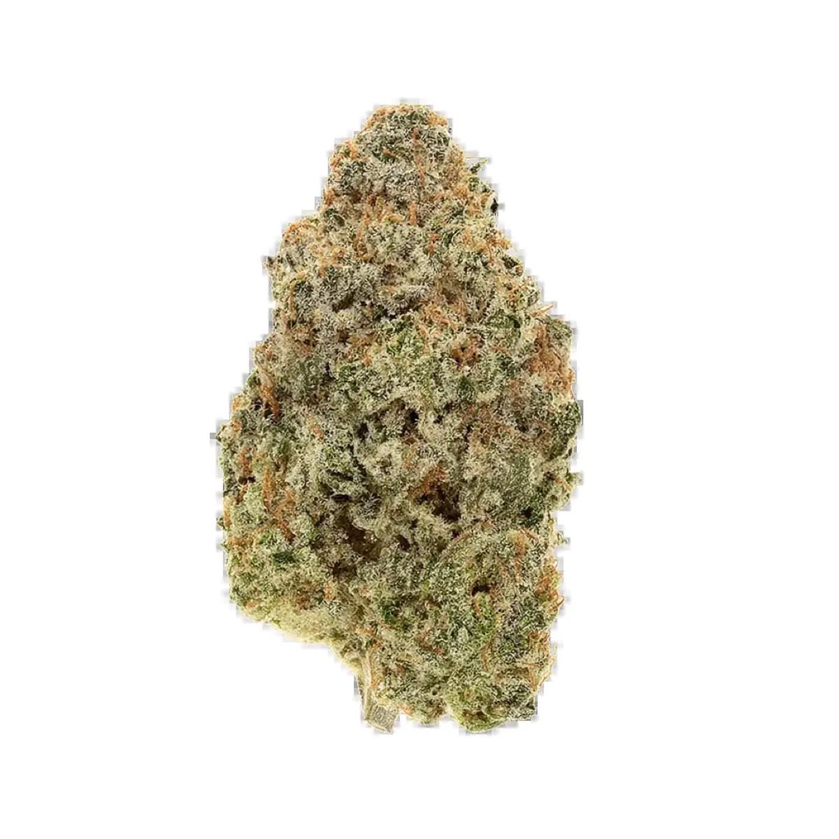 Fallout OG