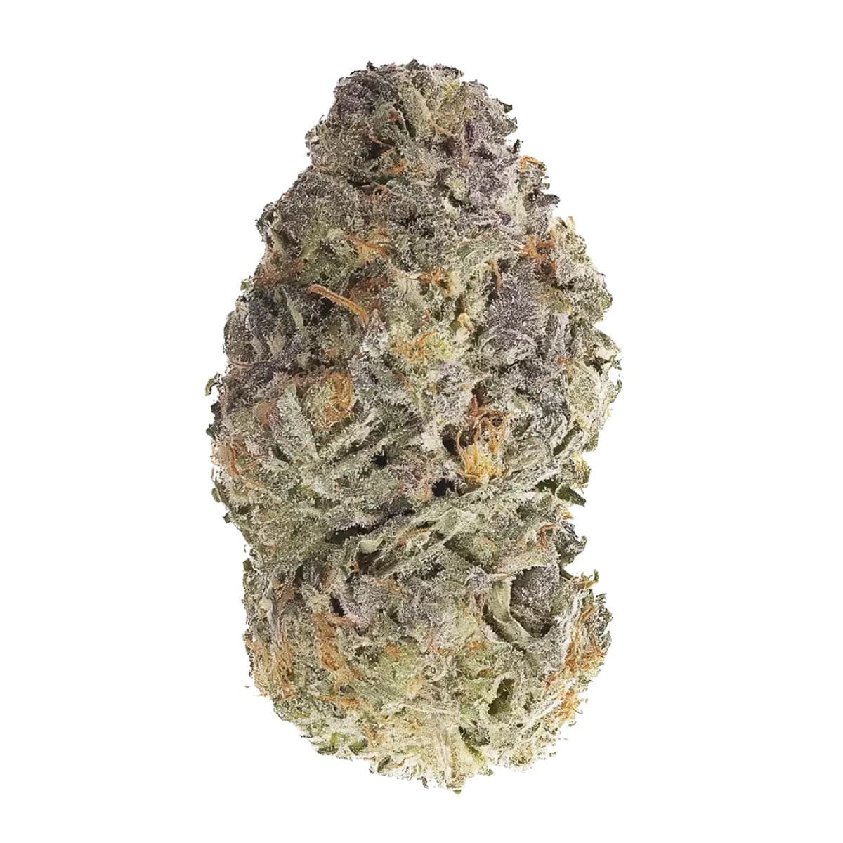 Gasoline Sherblato