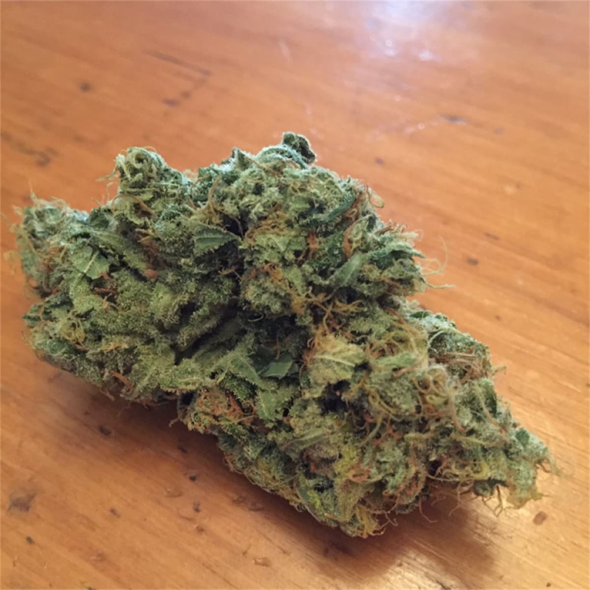 Golden Goat