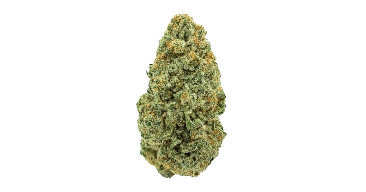 Honey Melon Haze