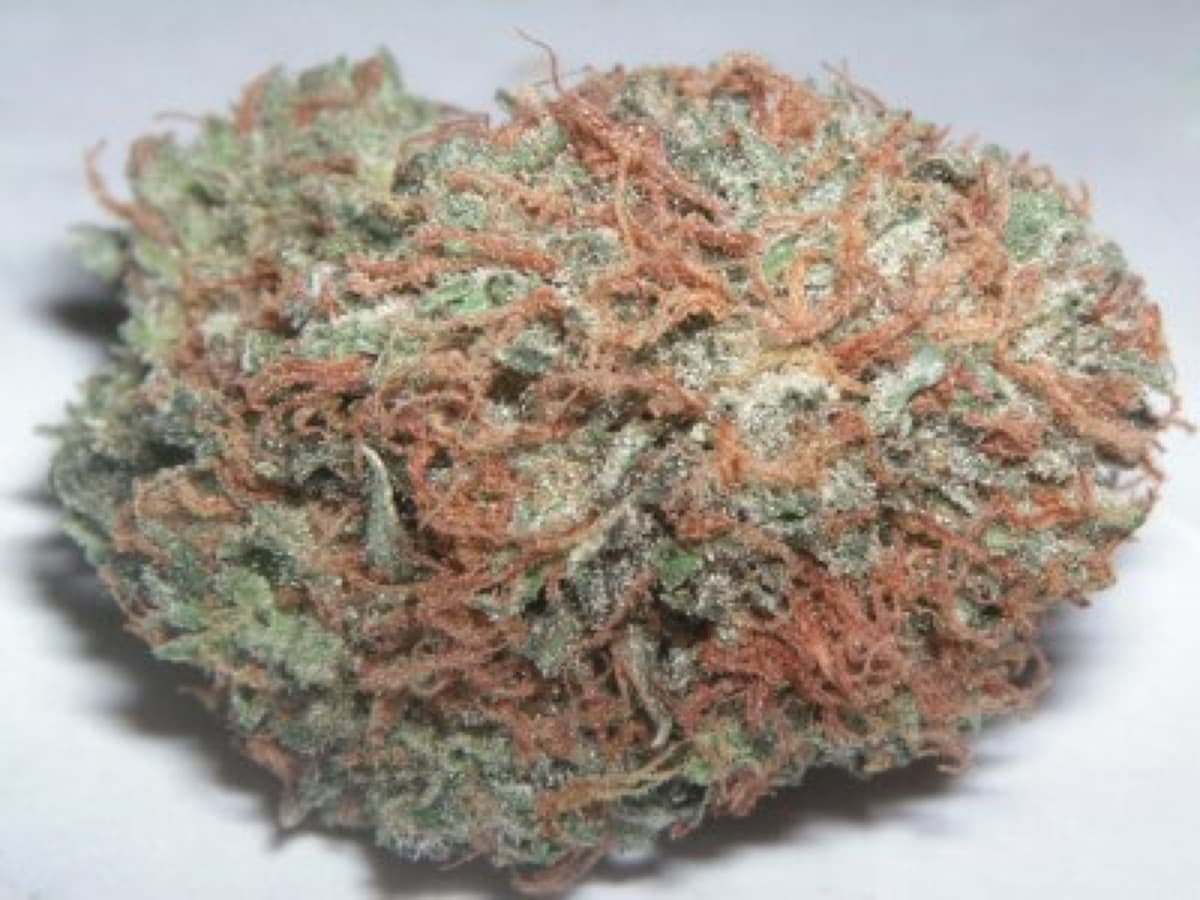 Las Vegas Lemon Skunk