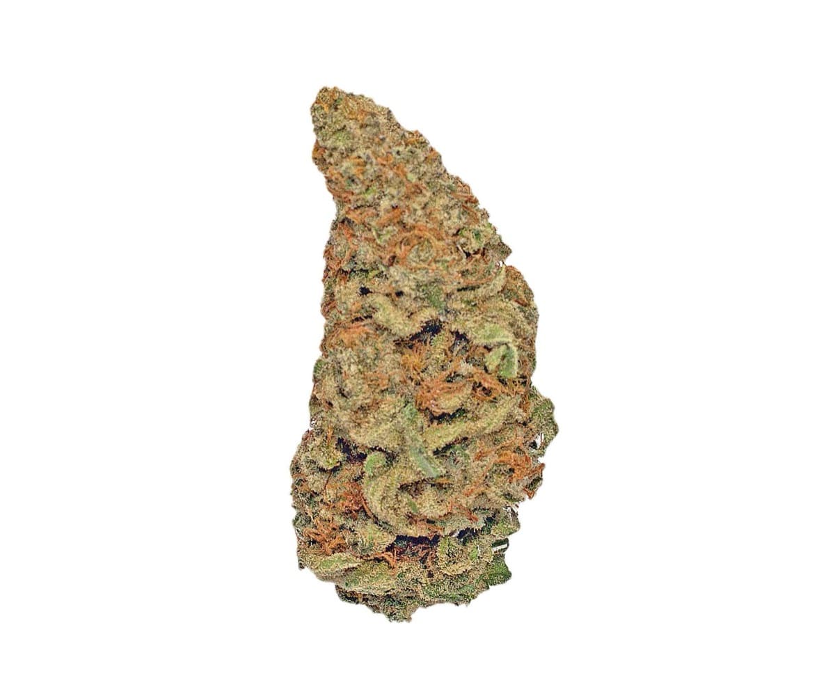 Lemon Alien Dawg