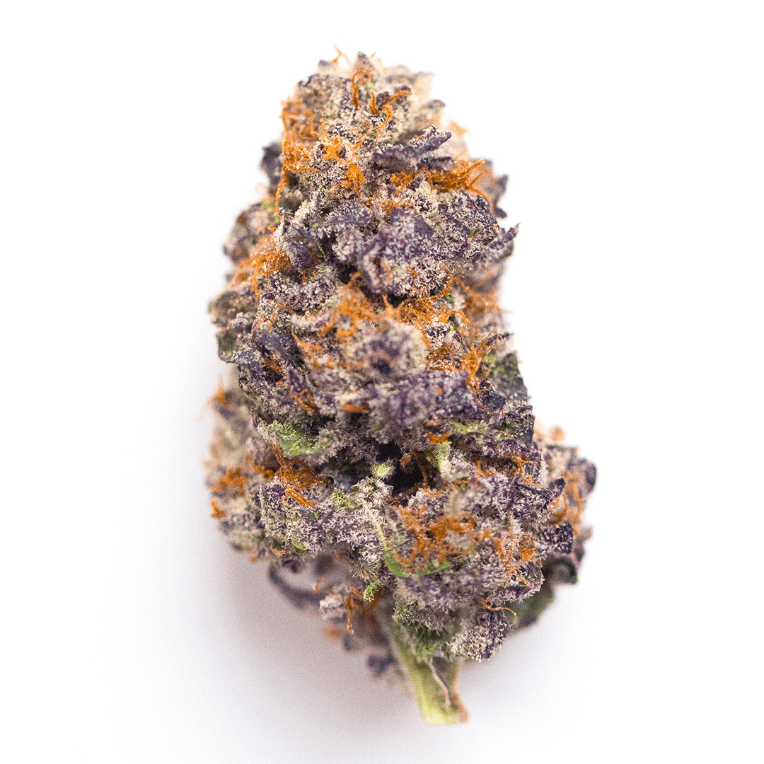Mendocino Purps
