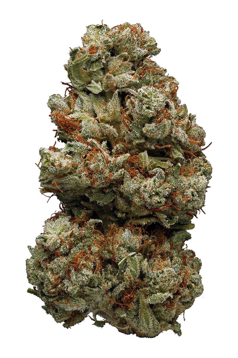 Northern Lights #1
