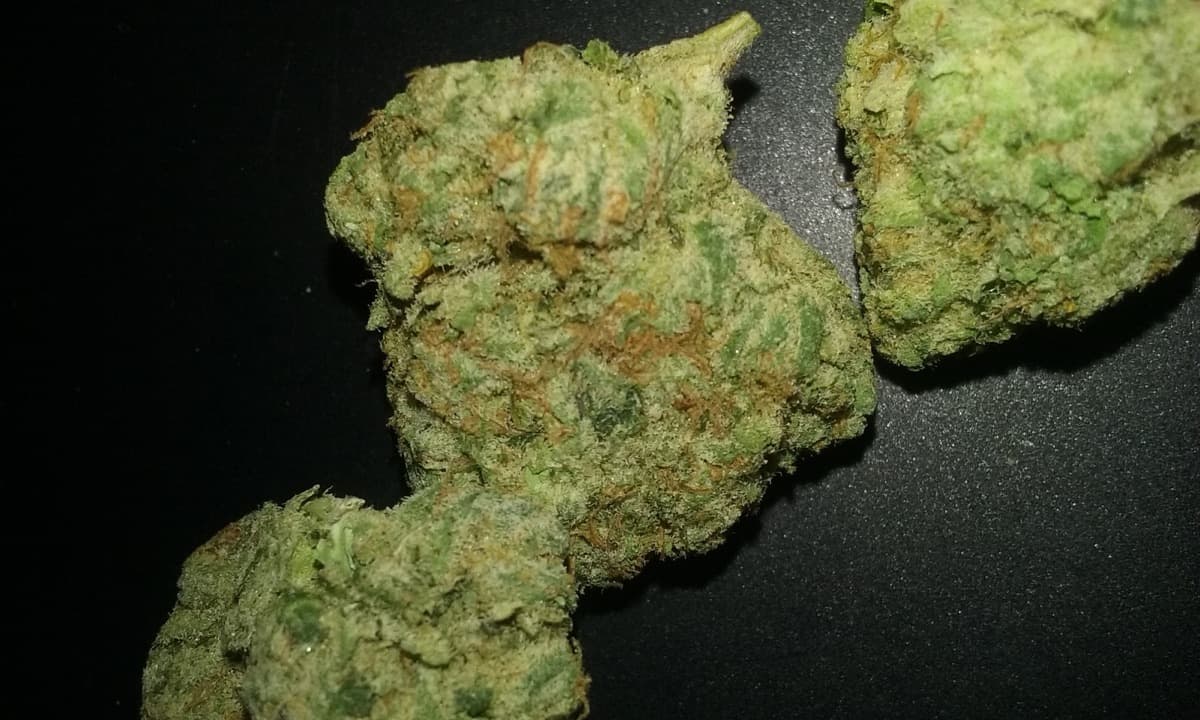 Peanut Butter Breath