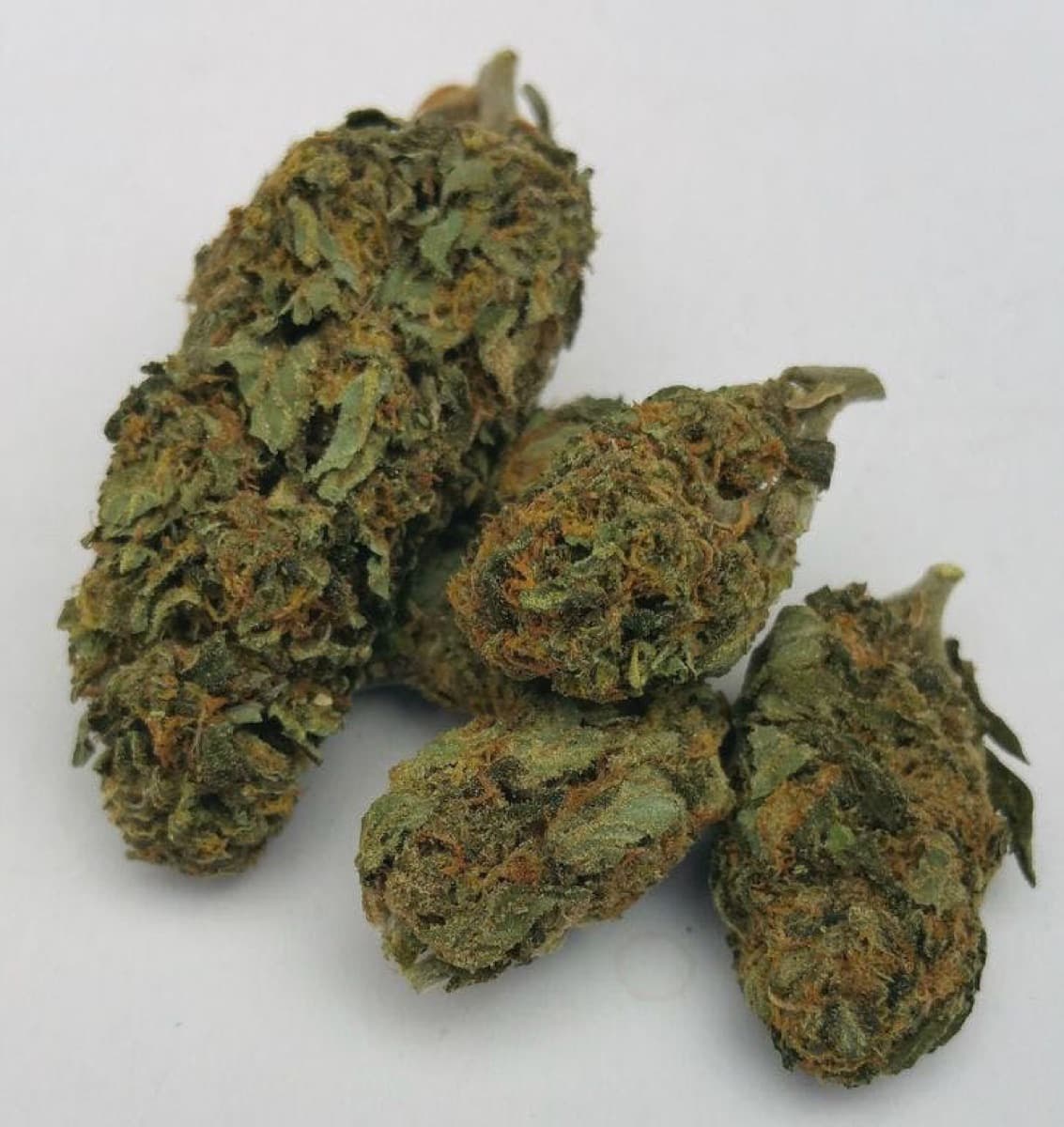 Pineapple Poison